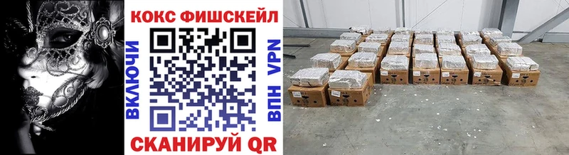 Купить закладки  Грайворон  Cocaine Fish Scale 