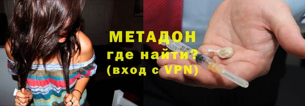 прущие грибы Волоколамск