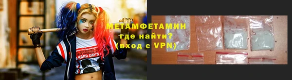 прущие грибы Волоколамск