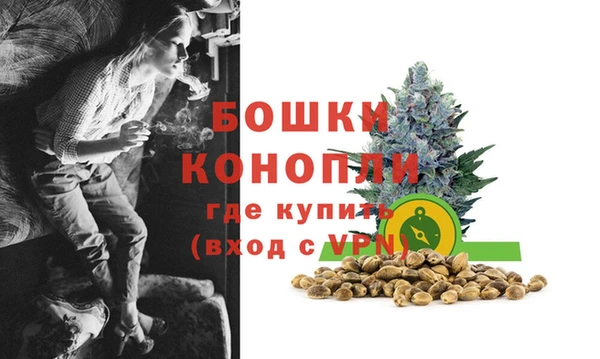 прущие грибы Волоколамск