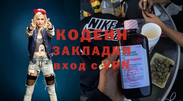прущие грибы Волоколамск